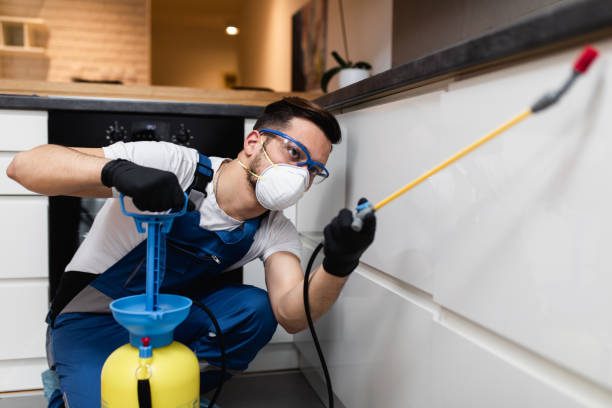 Reliable Rio Rico, AZ Pest Control Solutions