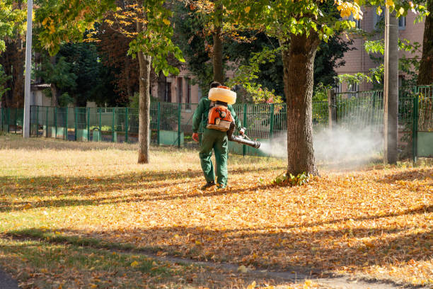 Wildlife Control Services in Rio Rico, AZ