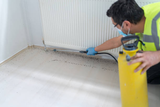 Best Pest Control Near Me  in Rio Rico, AZ
